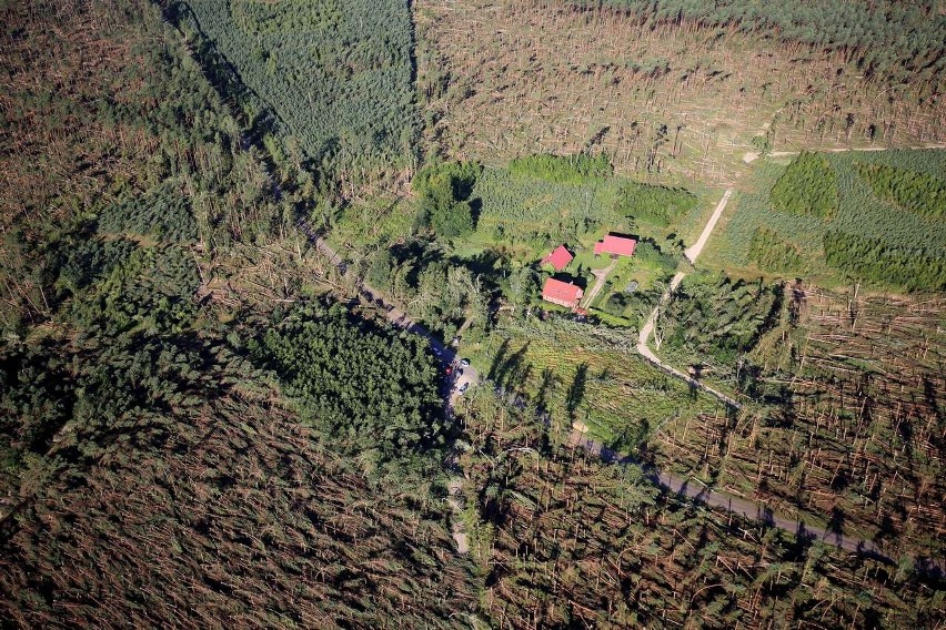 Lasy połamane jak zapałki (zdjęcia z lotu ptaka)