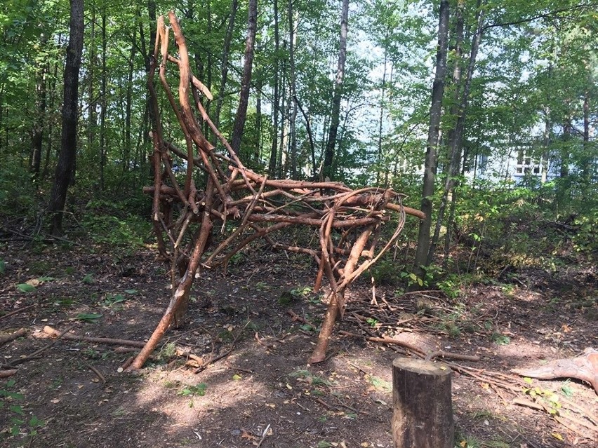 W międzynarodowej Rezydencja Artystyczna w Sokolu LAND ART...