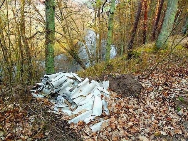 W gminie Unisław chcą wspomagać mieszkańców w zdejmowaniu by nie wyrzucano go do lasów, jak np. w Borach Tucholskich