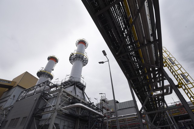 W skład Grupy EDF wchodzi EDF Toruń, główny dystrybutor i producent ciepła w Toruniu. Warto też dodać, że w tym mieście EDF otworzył niedawno nową elektrociepłownię gazową wartą ponad pół miliarda złotych.