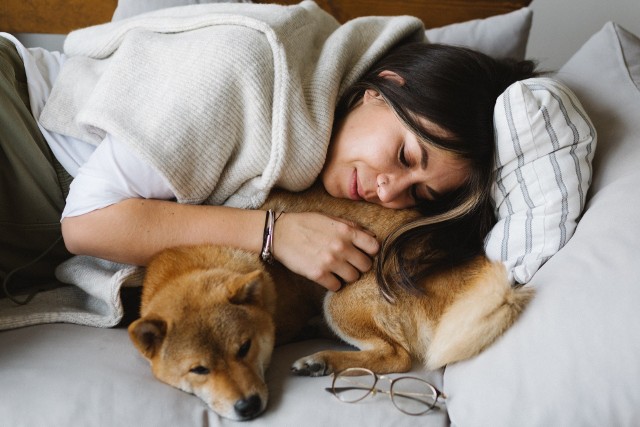 Jeśli chcesz, żeby spanie z pupilem przynosiło więcej pożytku niż szkody, musisz przestrzegać kilku zasad. Aby zobaczyć, kiedy wspólny sen z psem pomaga, a kiedy lepiej go unikać, przesuwaj zdjęcia w prawo, naciśnij strzałkę lub przycisk NASTĘPNE.