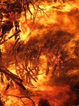 Tragiczny w skutkach pożar w miejscowości Kamienna Wola w powiecie koneckim. Nie żyje mężczyzna