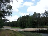 Tu jest cudownie! Remont zakończony. Śródleśne stawy w Niwach już gotowe [ZDJĘCIA]