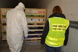 Nielegalni imigranci zatrzymani w Dąbrowie Górniczej. Wjechali do Polski w ciężarówkach z zabawkami i arbuzami