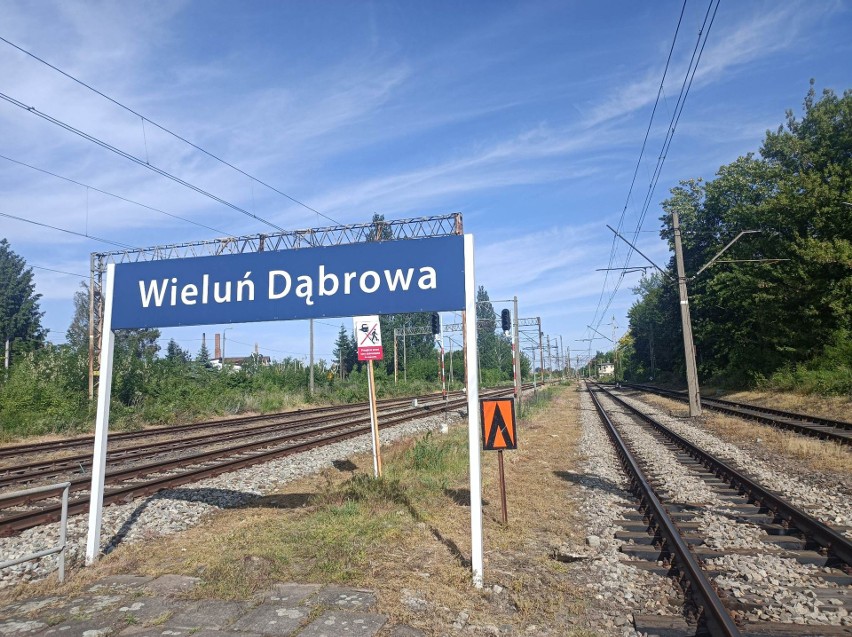 Pojedziemy koleją z Wielunia do Wrocławia? 12 ofert na rewitalizację linii 