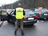 Odzyskali 19 kradzionych aut wartych 1,7 mln zł. 