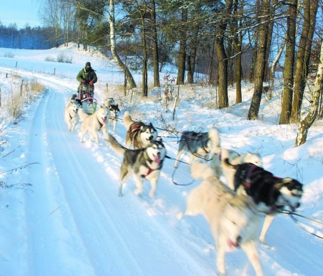 Wkrótce Dariusza Morsztyna i jego psy czeka przeprawa promem do Sztokholmu, a potem 500 kilometrów biegu rozłożonego na siedem etapów