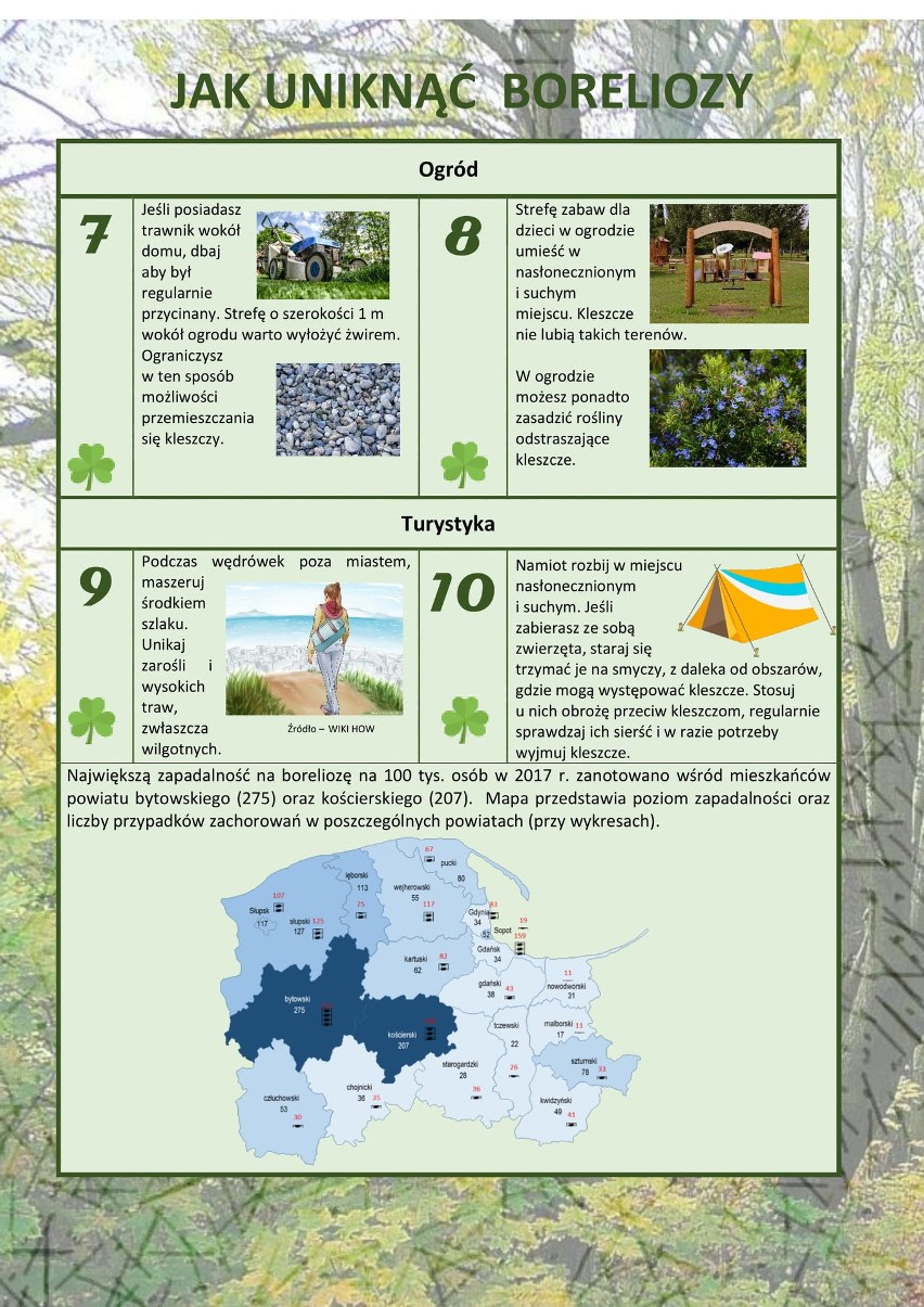 Blisko 1,5 tys. przypadków zachorowań na boreliozę w 2017 r. na Pomorzu. Uwaga na kleszcze – znów zaczynają atakować [infografiki]