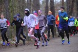 Parkrun Toruń 234 odbył się w lasku Na Skarpie. Mamy dużo zdjęć z sobotniego biegu! [28.12.]