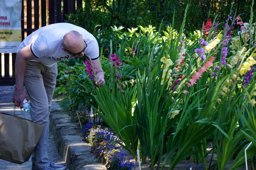 Święto botaniki w Ogrodzie Botanicznym UMCS w Lublinie. Zobacz zdjęcia