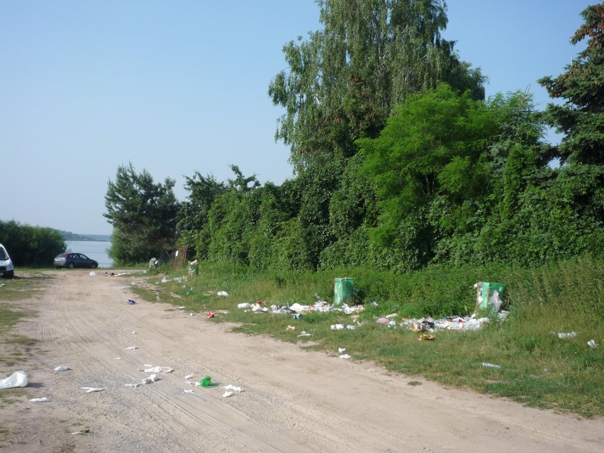 Tak wygląda okolica jednej z plaż nad zalewem w pobliżu...