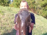 Ryba gigant w kieleckim zalewie!