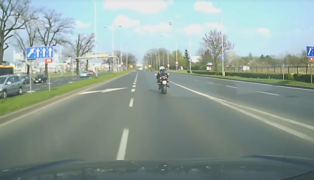 Wrocław: Pod Koroną jeleń zrzucił motocyklistę na ziemię