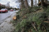 Ostrzeżenie IMGW: Silny wiatr do 80 km/h na Śląsku i do 100 km/h w Beskidach