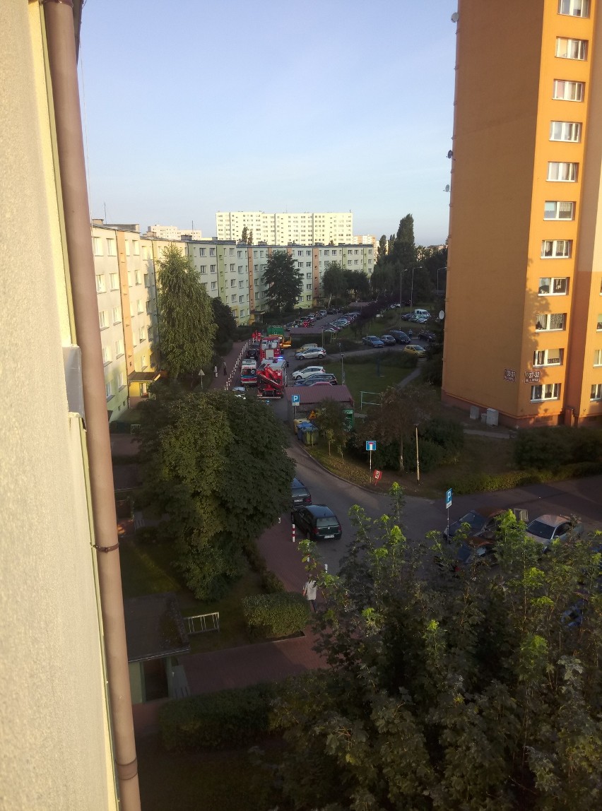 Ul. Rydla w Szczecinie: Śmieciarka potrąciła śmiertlenie przechodnia
