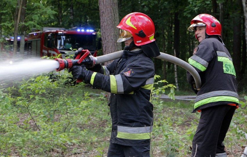 Dwa pożary lasu gasili strażacy z naszego regionu biorący...