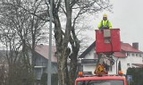 Biały Bór wymienia oprawy latarni. Będzie taniej i jaśniej