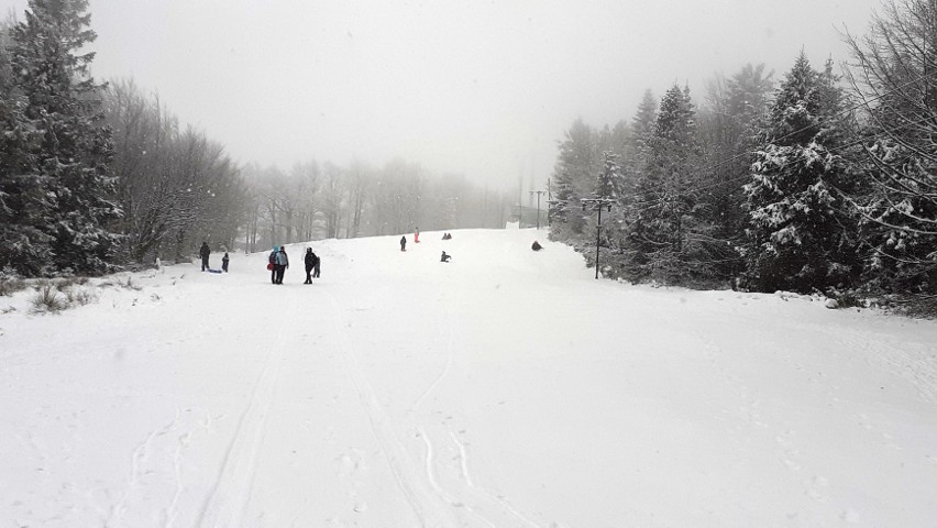 Ferie w Beskidach. Ruszyły kolejki linowe. Spadł śnieg i turyści ruszyli na szlaki z „jabłuszkami”, psami, na skiturach