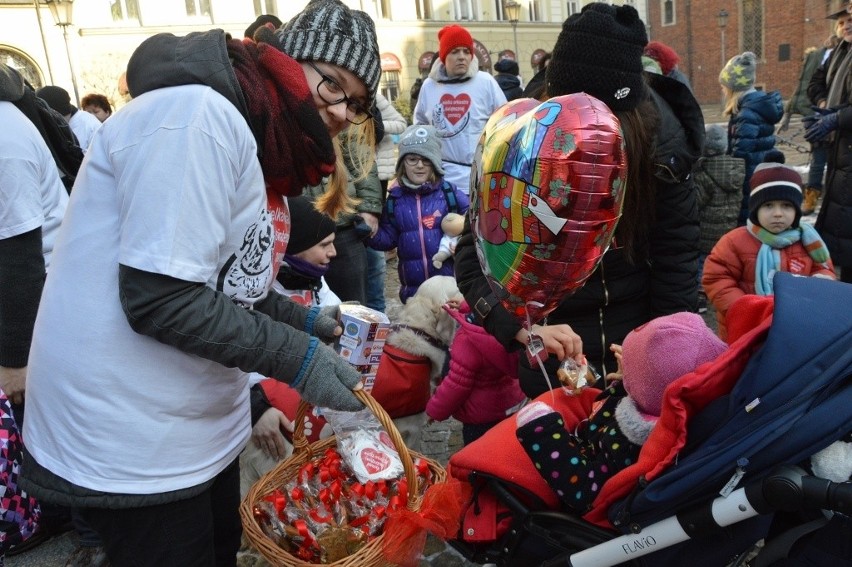 24. Finał WOŚP we Wrocławiu. Kwestują właściciele psów rasy...