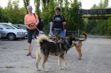 Dog Orient na górze Kamieńsk. Blisko setka uczestników wędrowała z czworonogami leśnymi ścieżkami kopalnianej góry   