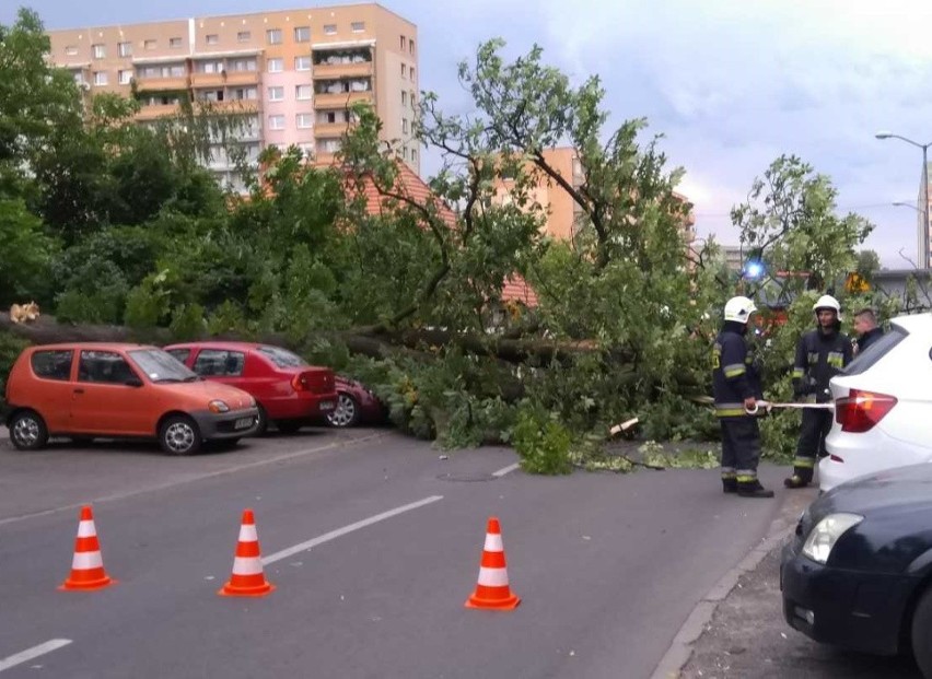 Po południu na Giszowcu przy ulicy Radosnej drzewo spadło na...
