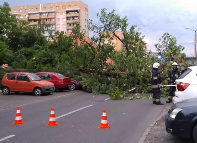 Po południu na Giszowcu przy ulicy Radosnej drzewo spadło na zaparkowane samochody