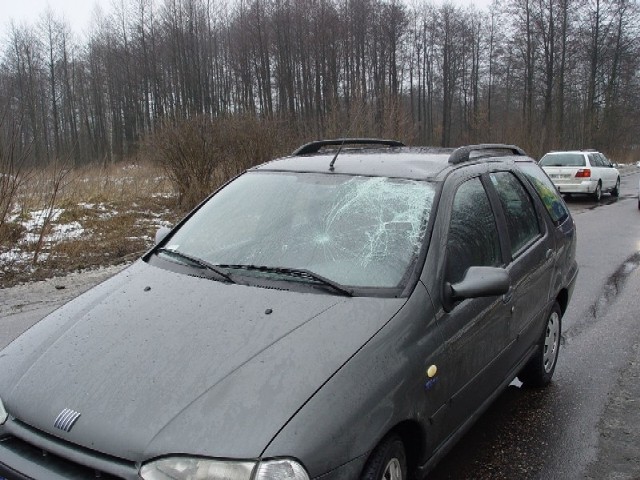 Tak wyglądał fiat po potrąceniu. Ofiara przetoczyła się po aucie.