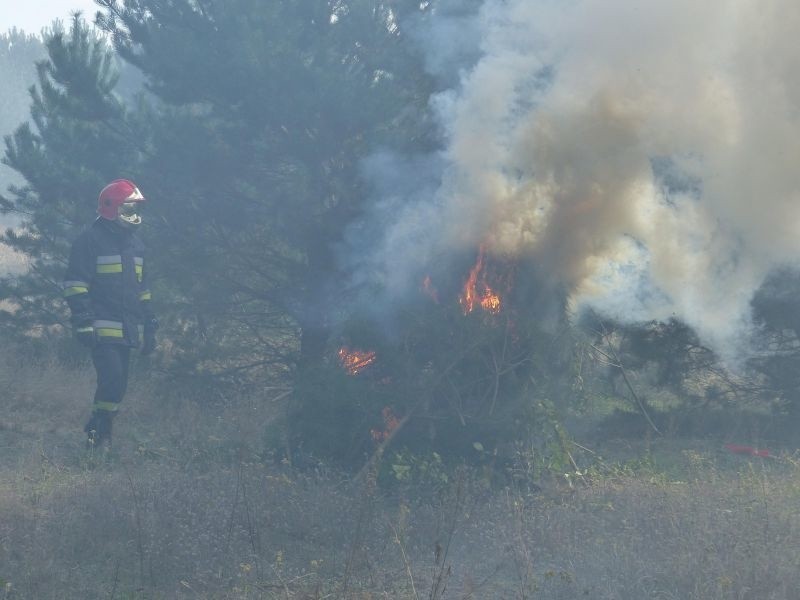 Ploski. Straż pożarna prowadzi wielkie ćwiczenia (zdjęcia)