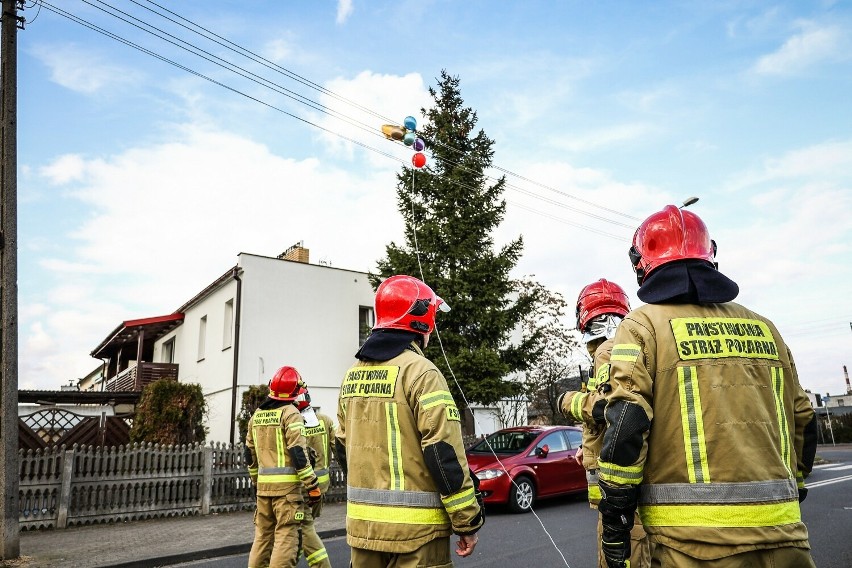 Akcja strażaków i energetyków na Zatorzu w Lesznie. Wszystko...