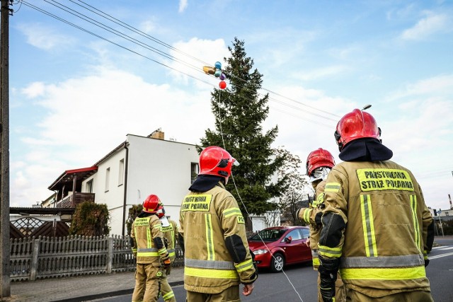 Akcja strażaków i energetyków na Zatorzu w Lesznie. Wszystko przez balony z imprezy roczkowej.