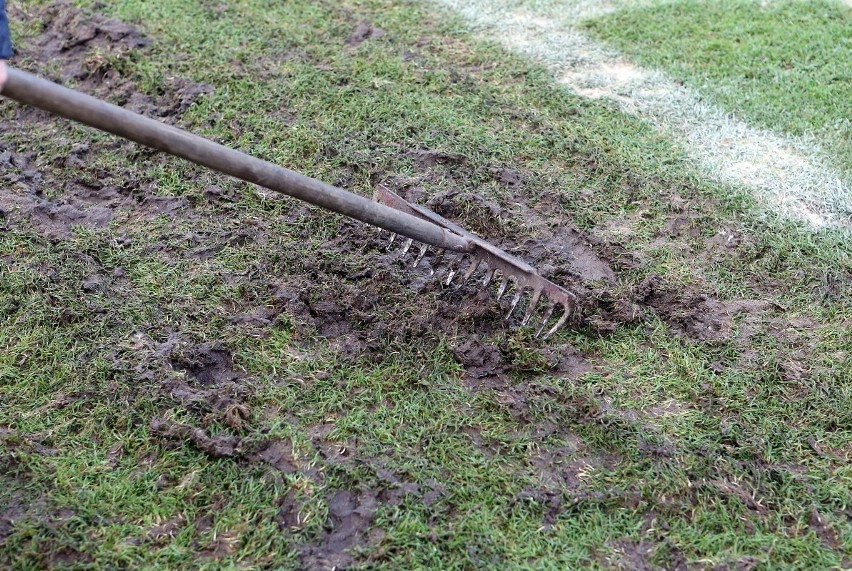 Prace kosmetyczne na murawie stadionu Pogoni Szczecin.