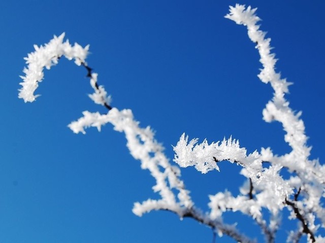 Jeszcze tylko dzisiejszej nocy nie będzie mrozu w regionie słupskim. Ze środy na czwartek temperatura spadnie nawet do minus 3 stopni Celsjusza.