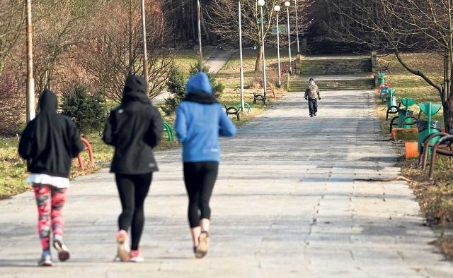 - Według mnie teren ten jest terenem leśnym spacerowym. Czy Bieszczady też są wybrukowane? - pisze w liście do redakcji Czytelnik.