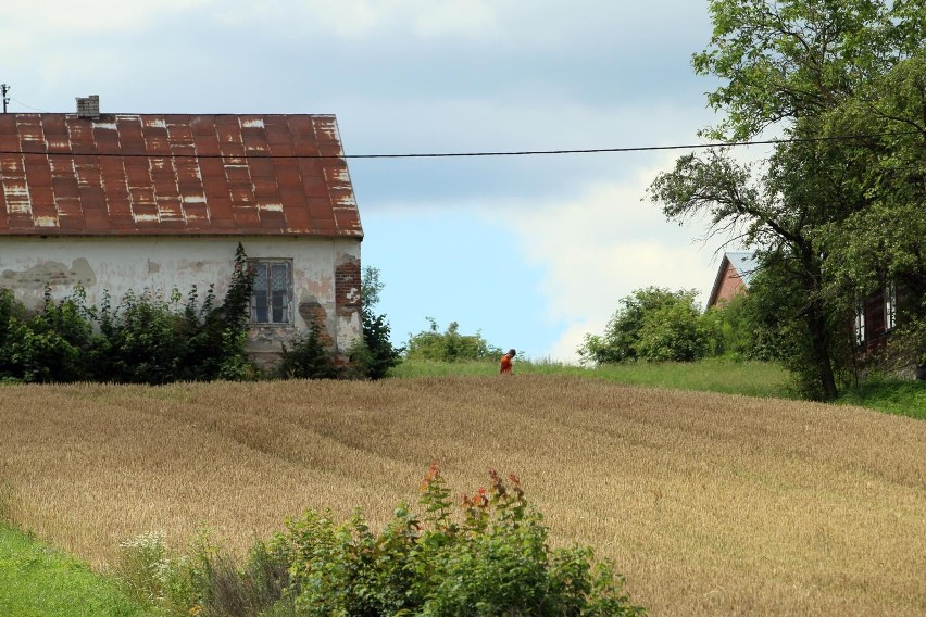 Wśród gmin o najwyższym spadku ludności w porównaniu z 2011...