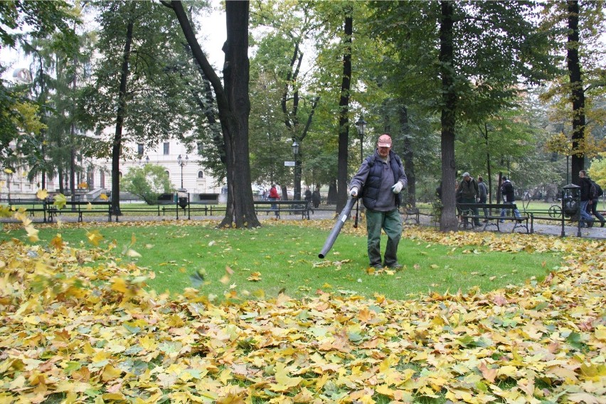 Z Krakowa znikną dmuchawy do liści z powodu spalin i hałasu?