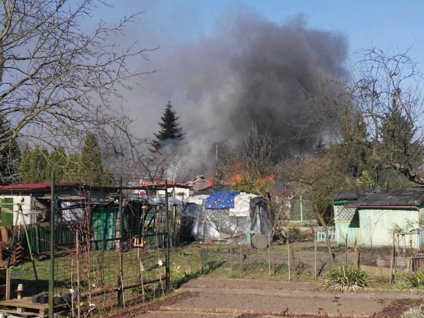 Duży pożar w pobliżu al. Kochanowskiego. Straż w akcji (ZDJĘCIA)