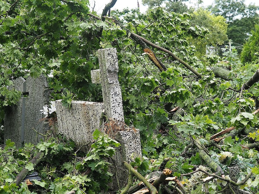 Na Starym Cmentarzu przy ul. Ogrodowej wiatr łamał drzewa i...