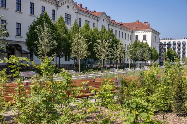 Park Wisławy Szymborskiej przy ul. Karmelickiej.