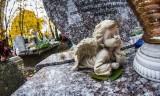 Bydgoskie Anioły na cmentarzach. Co symbolizują? [zdjęcia]