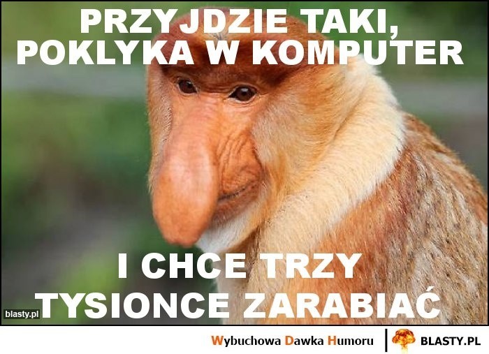 Programista, tester, administrator baz danych... Każdy...