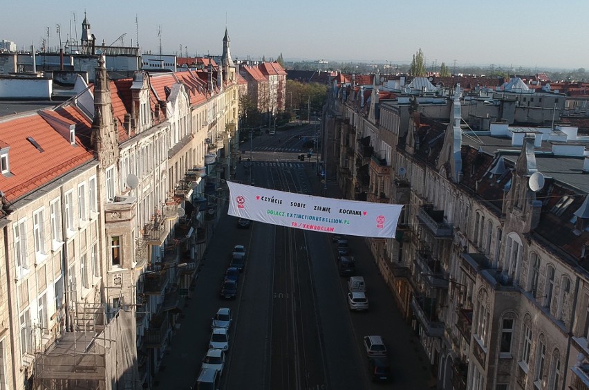 Czerwone wdowy na dachach Wrocławia z okazji Dnia Ziemi.