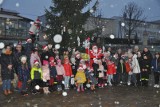 Mieszkańcy Zawichostu wspólnie ubrali świąteczne drzewko. Piękna choinka stanęła na Dużym Rynku [DUŻO ZDJĘĆ]