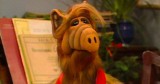„Alf” był pierwszym takim bohaterem w świecie seriali. Kultowa produkcja dostępna na HBO Max!