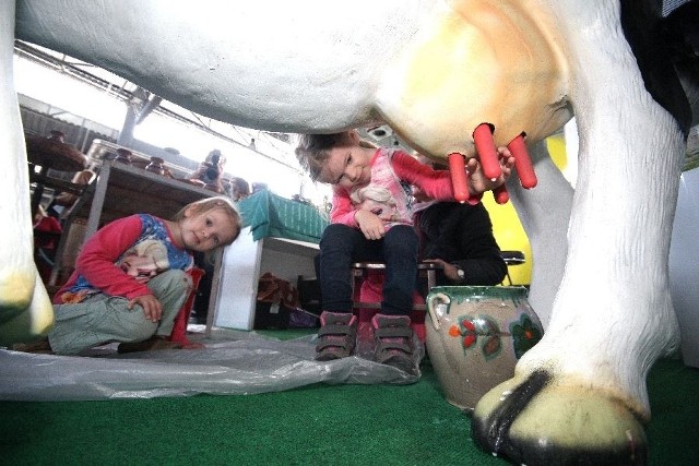 Na targach dla domu, ogrodu i agroturystyki w Kielcach padł rekord frekwencjiNa targach Agrotravel  dzieci mogły nawet zobaczyć... jak działa krowa i spróbować produktów wyrabianych naturalnymi metodami z mleka. Wystawa była dla maluchów z miasta rzadka do tego okazją.