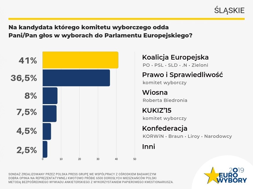 Wybory do Europarlamentu 2019: PiS wygrywa w Polsce. W woj. śląskim górą Koalicja Europejska SONDAŻ 