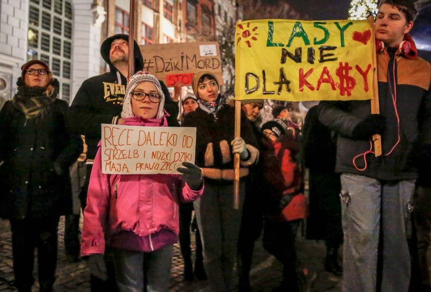 Gdański protest przeciwko masowemu odstrzałowi dzików,...