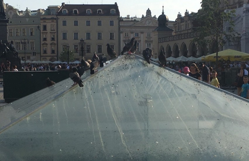 Kraków. Kłopoty z fontanną w Rynku w szczycie sezonu turystycznego