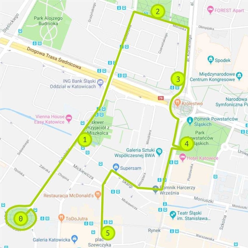 Marsz dla Klimatu dziś przejdzie ulicami Katowic. Będą utrudnienia w centrum miasta. Zobaczcie gdzie