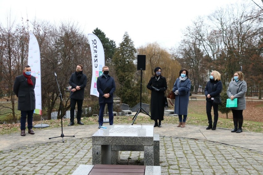 Łąki antysmogowe powstaną w mieście w ramach "Częstozielona"