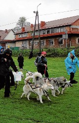 Moda na psi sport. Marsz na orientację z czworonogiem.